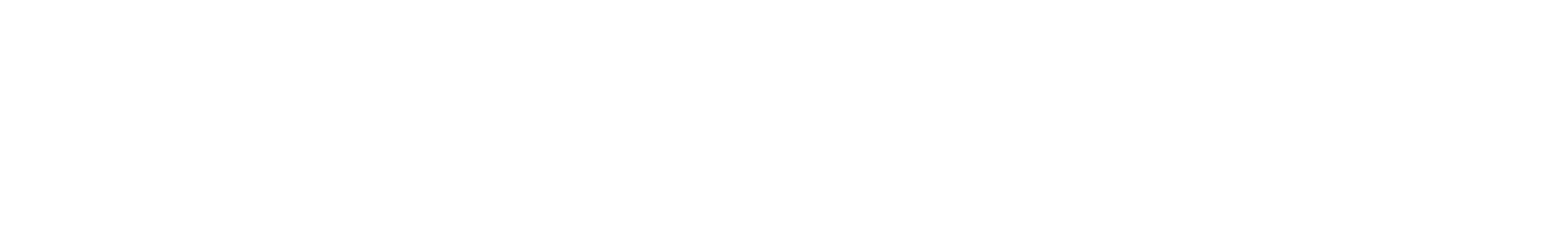 Nintendo DS