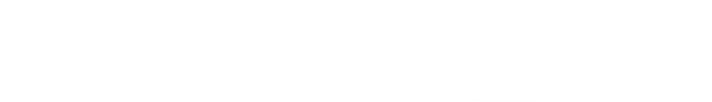 Nintendo DS