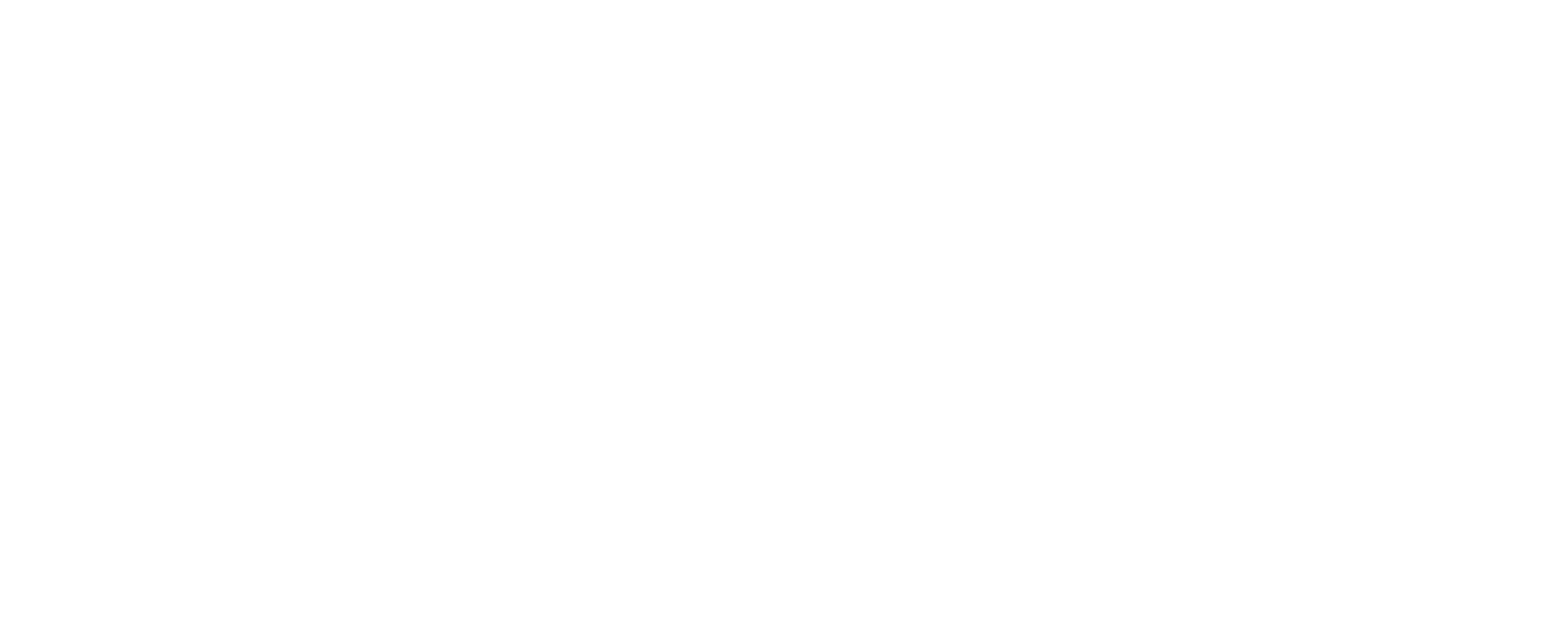 Nintendo Entertainment System (NES)