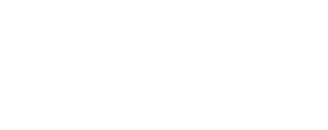 Nintendo Entertainment System (NES)