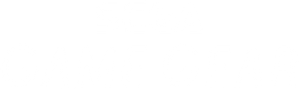 Game Gear
