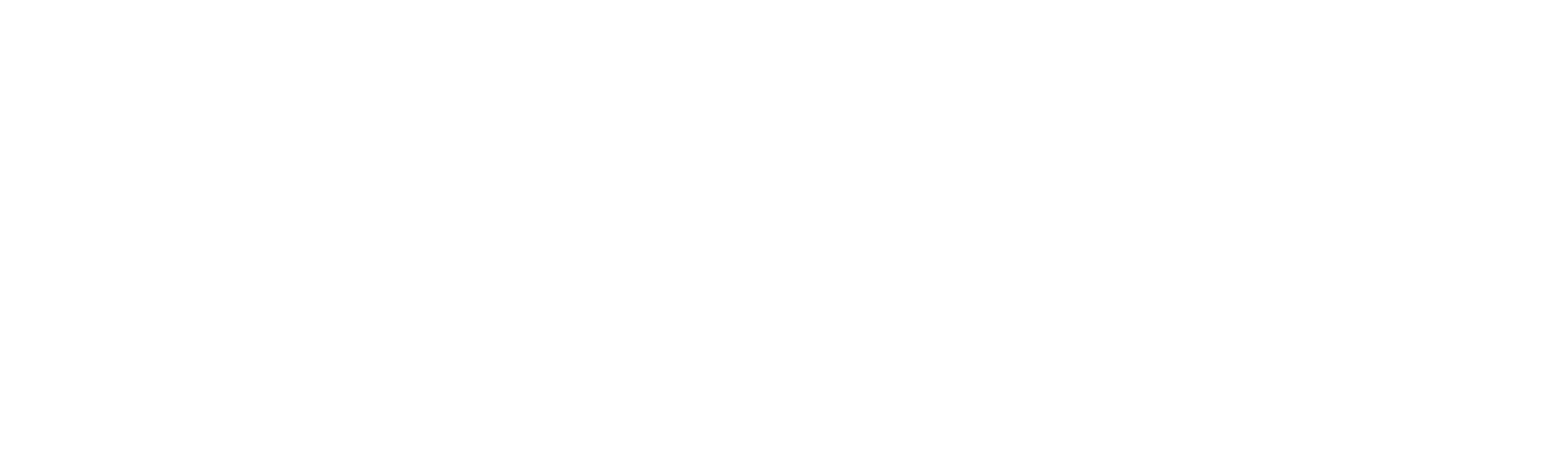 Master System