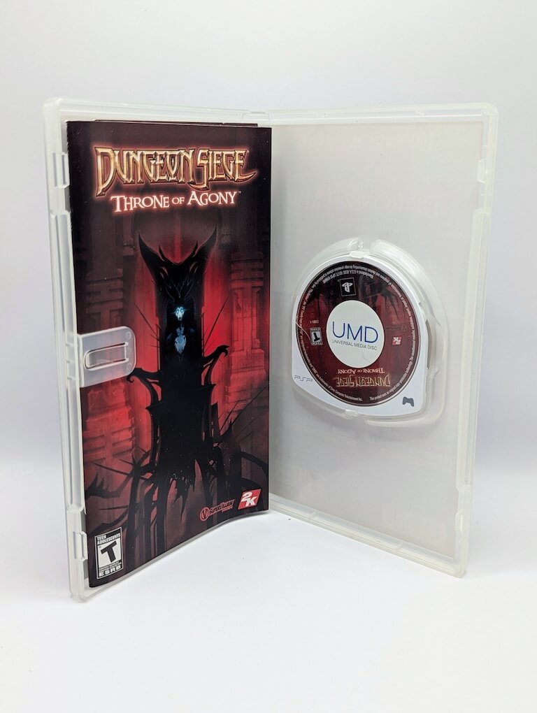 Dungeon Siege: Throne of Agony