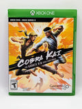 Cobra Kai: The Karate Kid Saga Continues