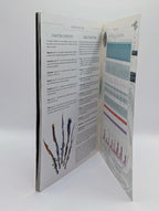 Final Fantasy XIII Mini Guide