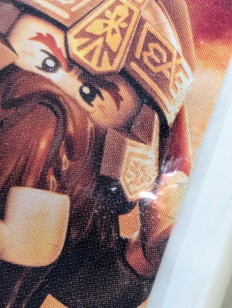 LEGO Le Seigneur des Anneaux [État]