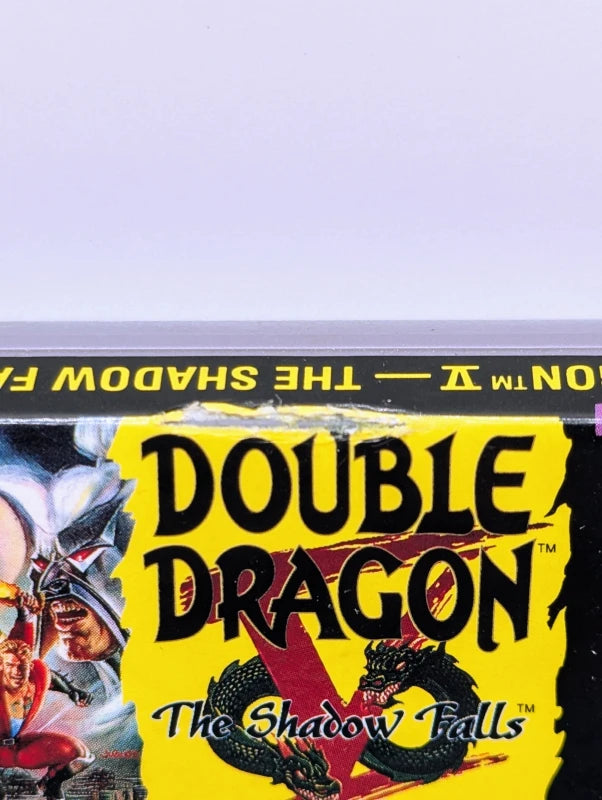 Double Dragon V: The Shadow Falls