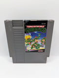 Teenage Mutant Ninja Turtles [Loose] [Condition]