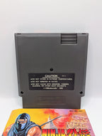 Ninja Gaiden [Loose + Manual]