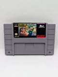 Mario Is Missing!
