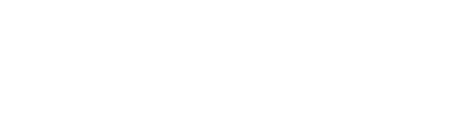PlayStation Portable (PSP)